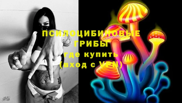 PSILOCYBIN Балабаново