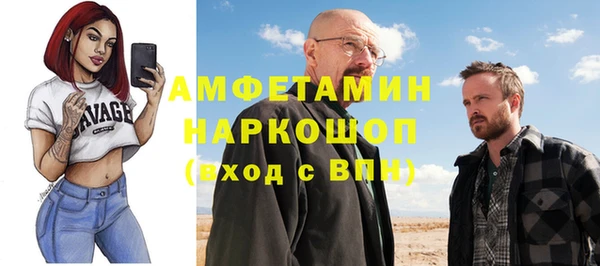 прущие грибы Баксан
