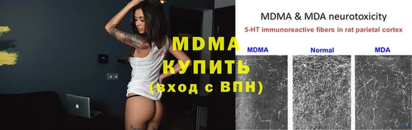 прущие грибы Баксан