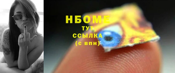 прущие грибы Баксан