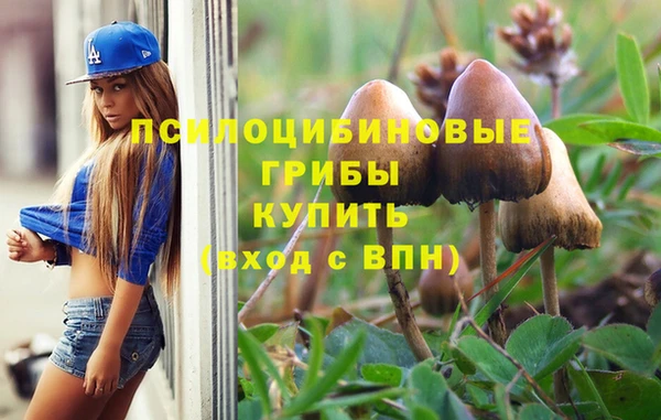 PSILOCYBIN Балабаново
