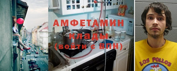 прущие грибы Баксан