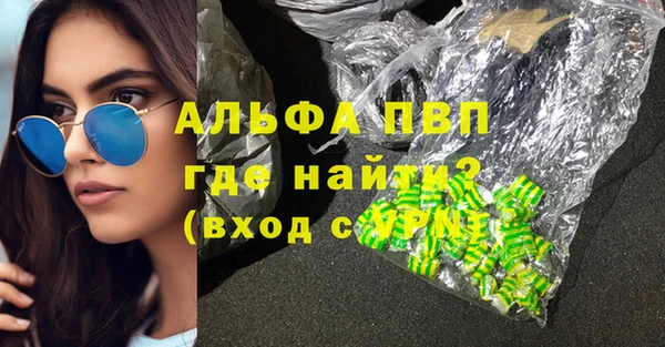 прущие грибы Баксан